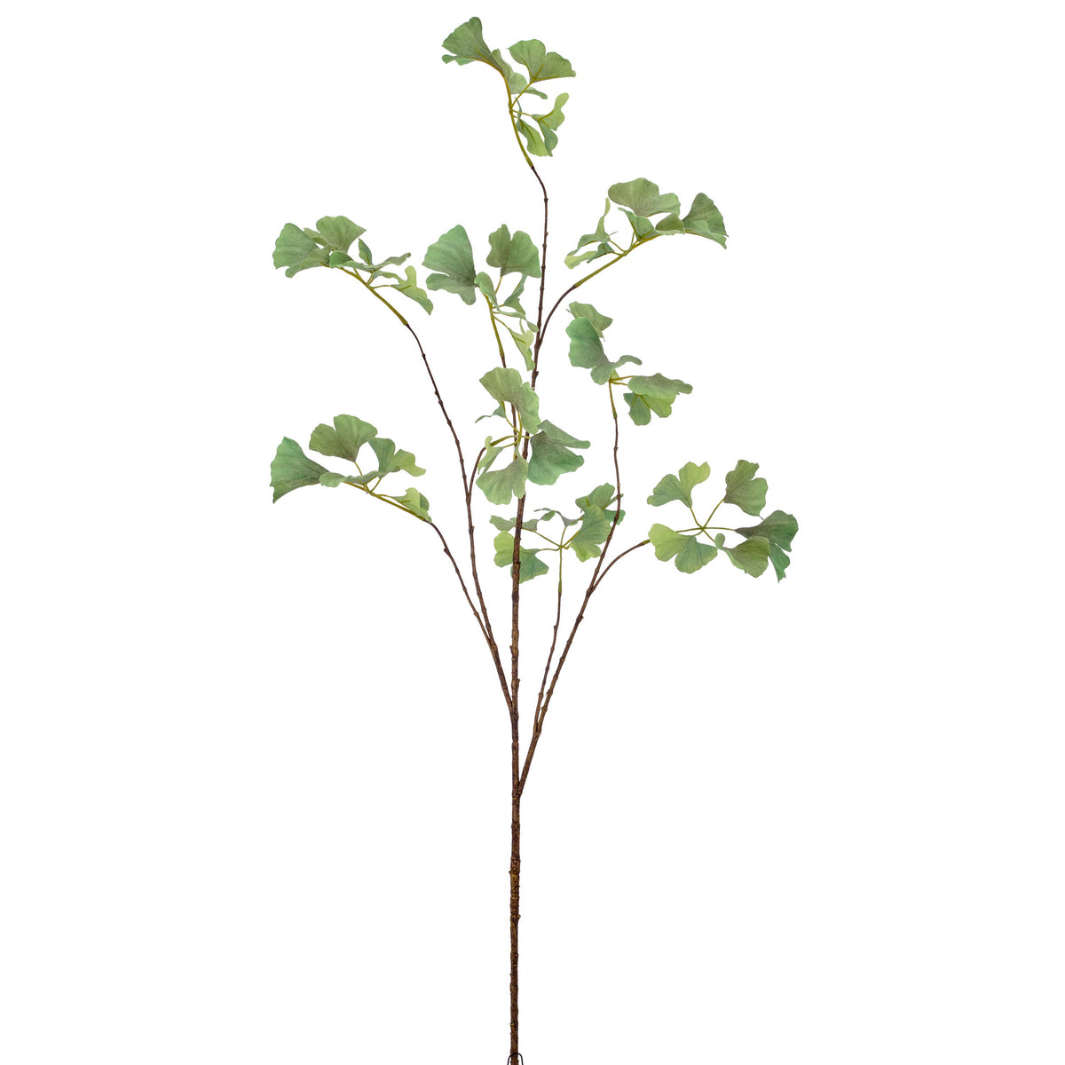 Gingkozweig, 126cm, grün