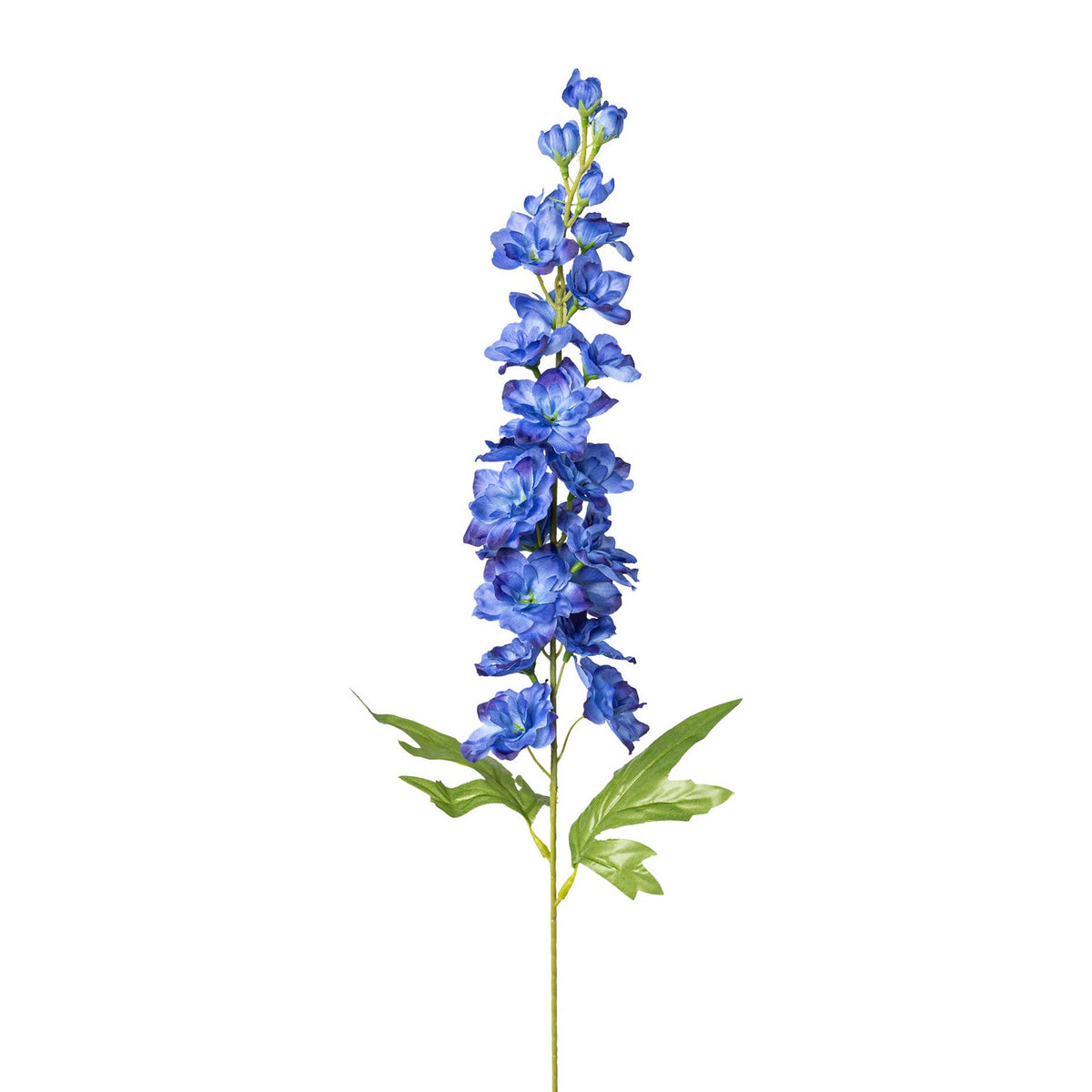 Rittersporn, 86cm