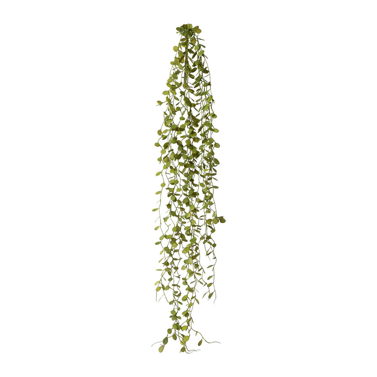 Mühlenbeckia-hänger, 71cm, Grün