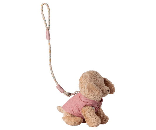 Haustierhalsband und Leine, Rosa