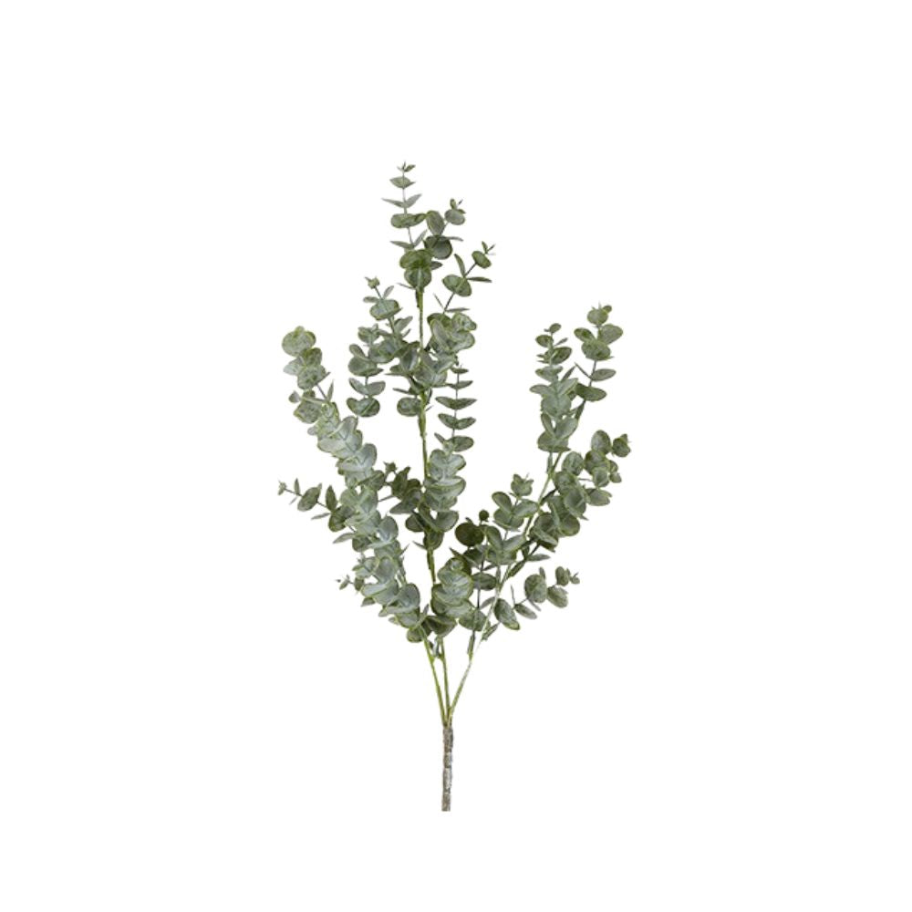 Kunstblume Eucalyptus parvifolia
