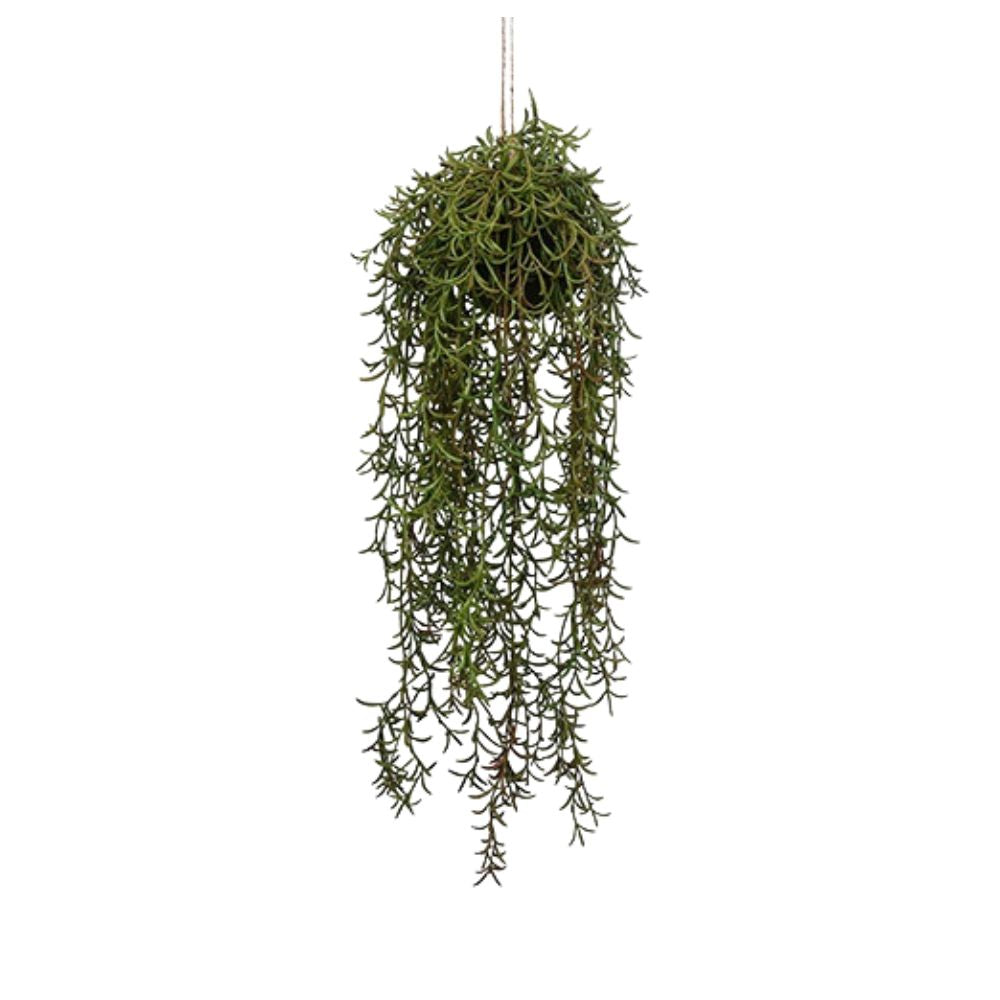 Kunstpflanze Senecio