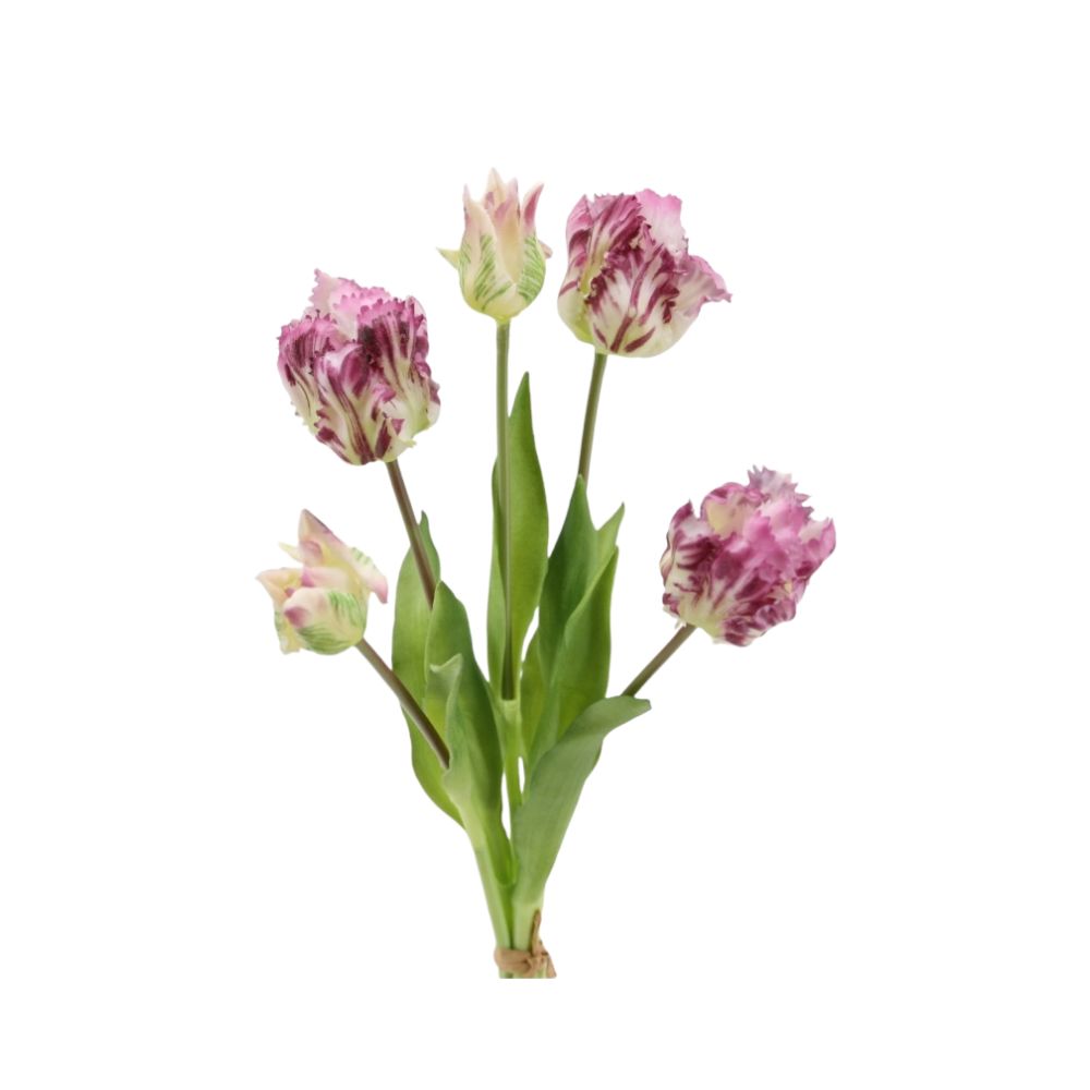 Papageien Tulpe 5er Bund soft touch 40cm purple