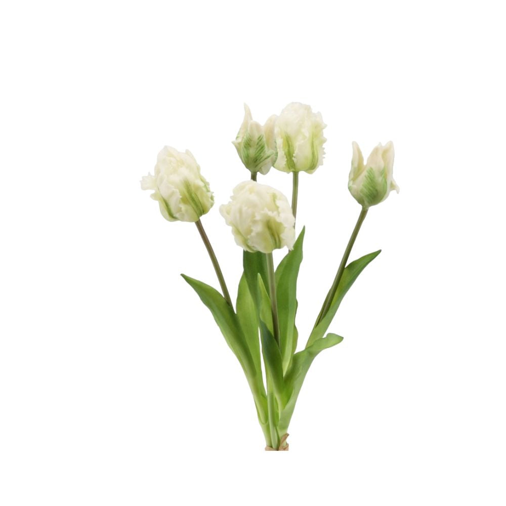 Papageien Tulpen 5er Bund soft touch 40cm weiß