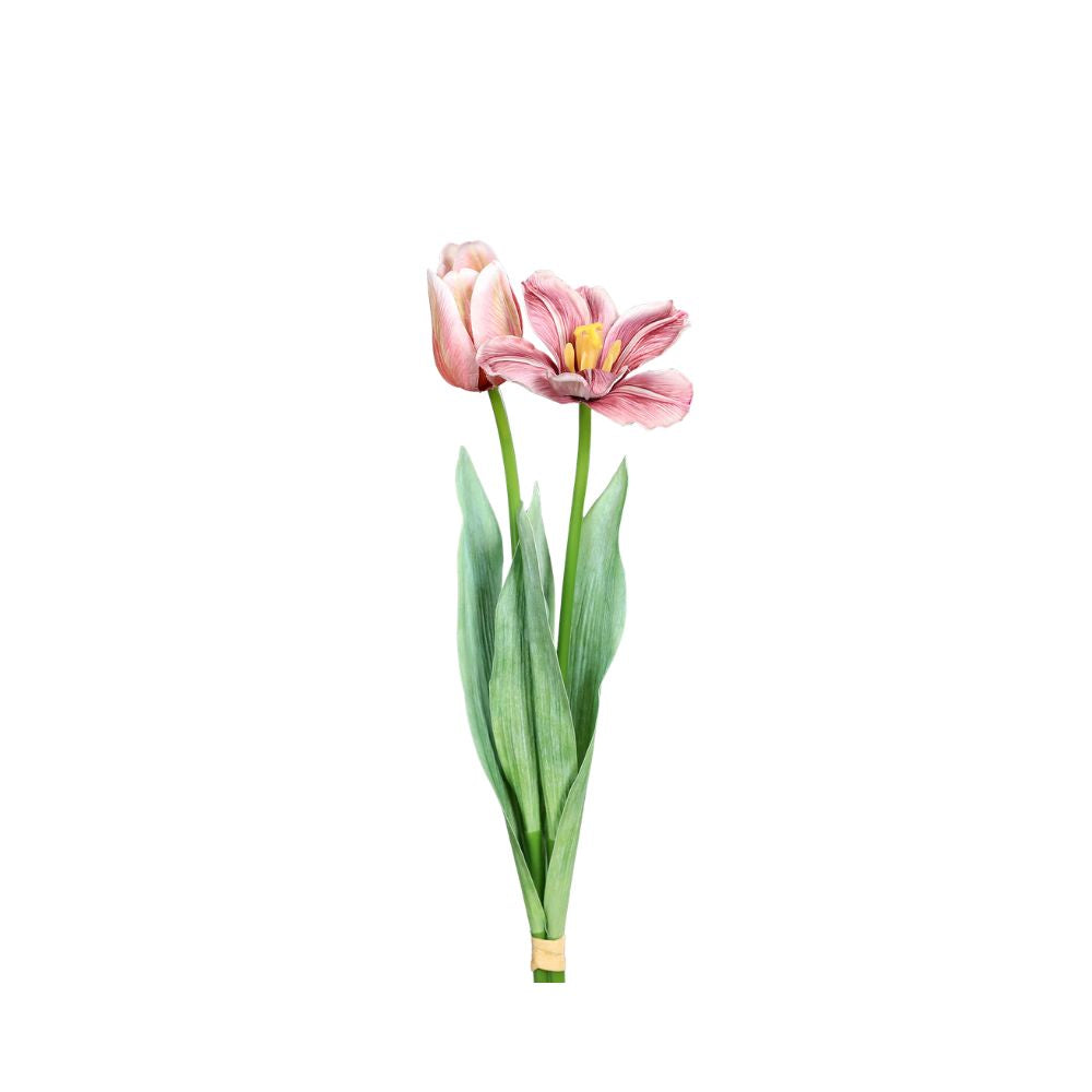 Tulpen-Bündel, 2 Stück