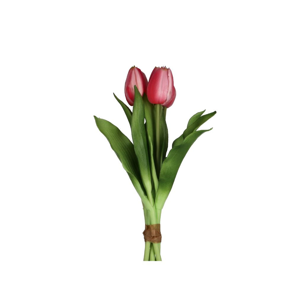 Tulpenbund Camilla pink
