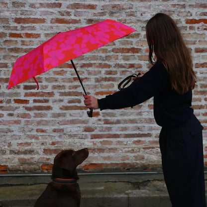 Easy Umbrella Primel