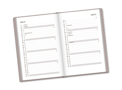 Terminplaner Lederlook 2027 Taupe