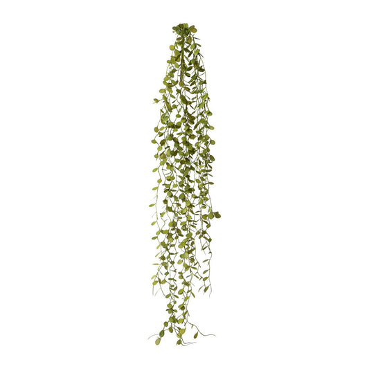 Mühlenbeckia-hänger, 71cm, Grün