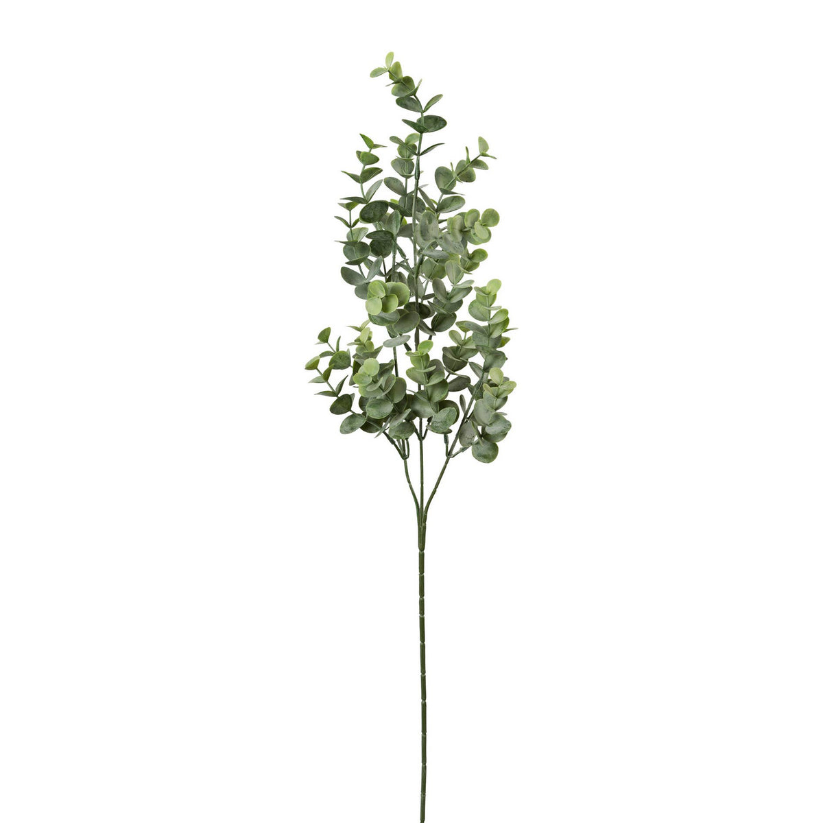 Eukalyptuszweig, 69cm, Grau