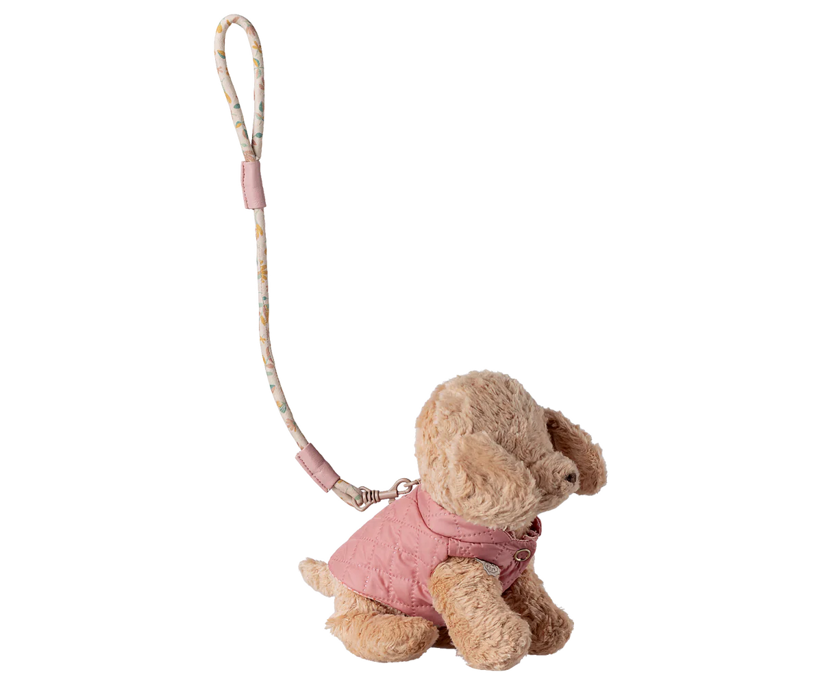Haustierhalsband und Leine, Rosa