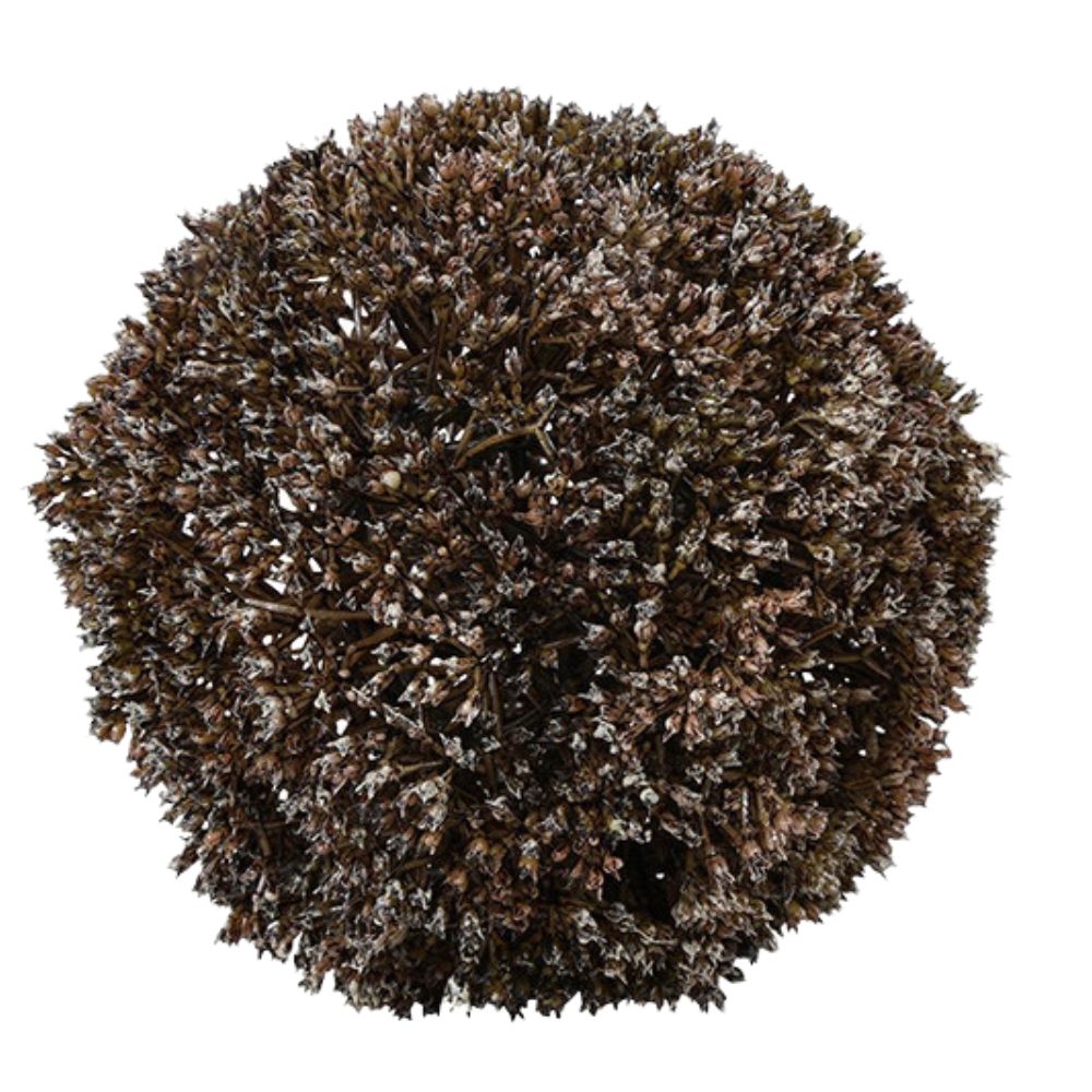 Deko Kugel Eupatorium L braun
