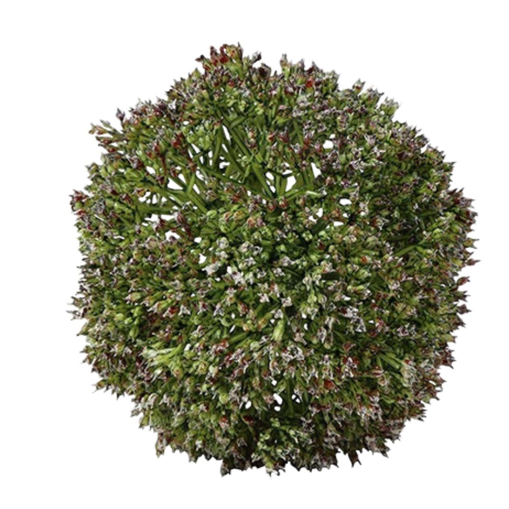 Deko Kugel Eupatorium L grün