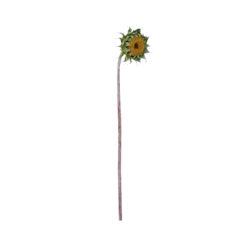 Ib Laursen Kunstblume verblühte Sonnenblume