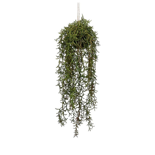 Kunstpflanze Senecio
