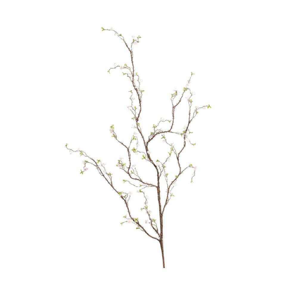 Spirea, 125 cm, cream