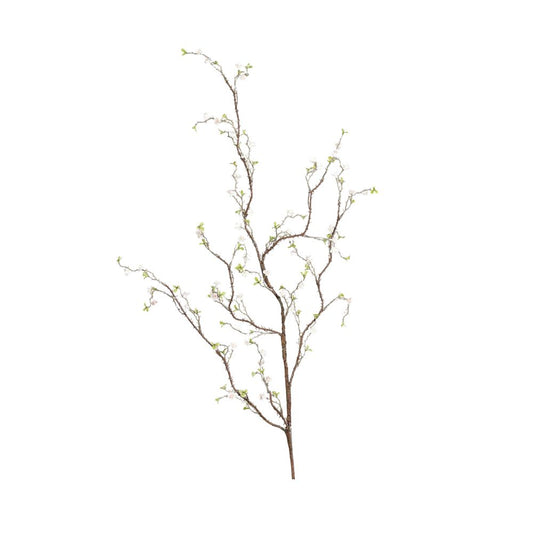 Spirea, 125 cm, cream