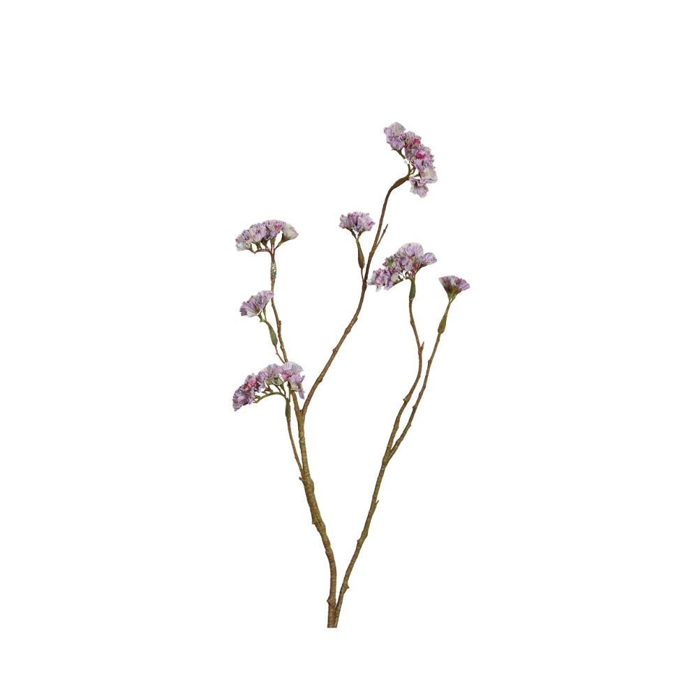 Statice, 67 cm