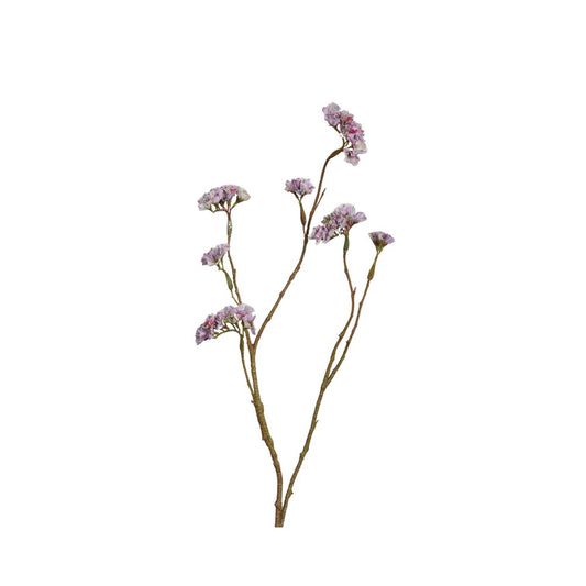 Statice, 67 cm