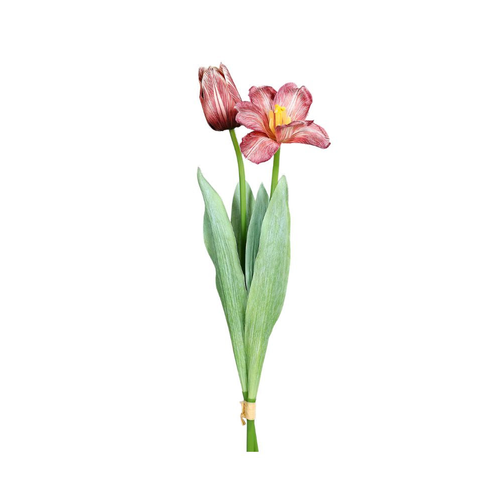 Tulpen-Bündel, 49 cm, honey, mit 2 Tulpen