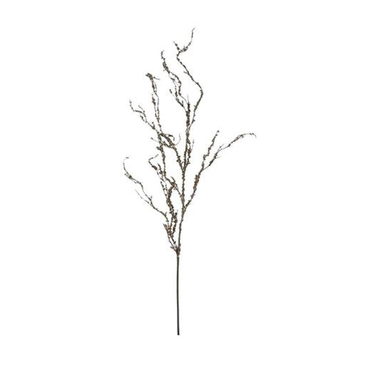Zweig Salix L braun