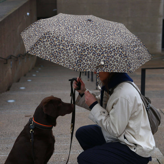 Easy Umbrella Leo