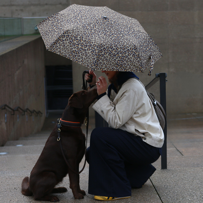 Easy Umbrella Leo