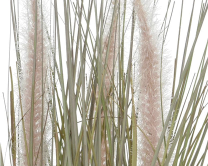 gras-im-topf-801915-2