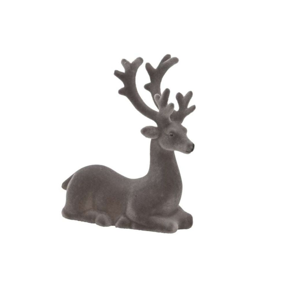 Hirsch liegend