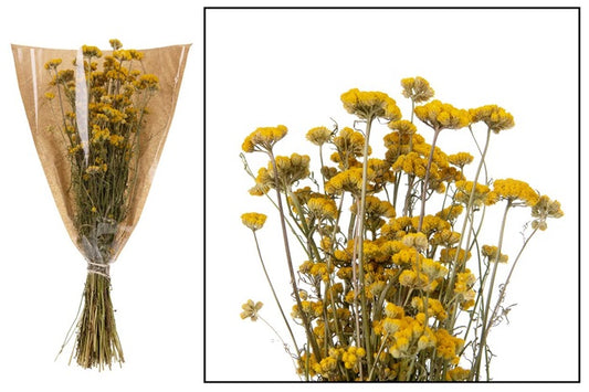 neuheiten-saisonales-trockenblumen-lona-wg29121