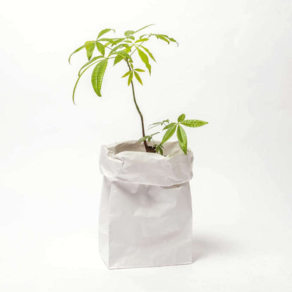 rico_design_blockbodenbeutel_L_weiss_99001-75-03_4