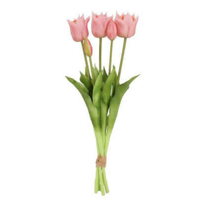 tulpen-rose-2
